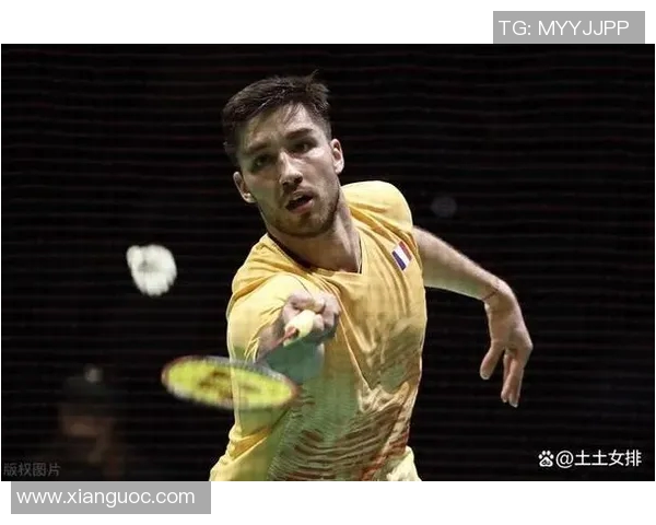 李芳羽毛球生涯回顾与展望对话分享运动背后的故事与感悟 李芳羽毛球生涯回顾与展望对话分享运动背后的故事与感悟