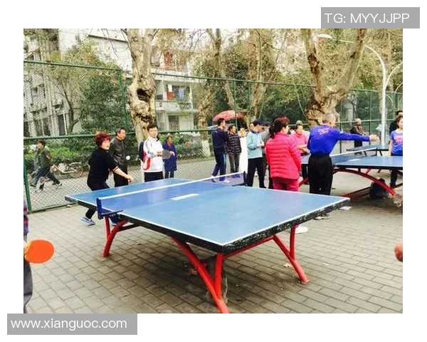 成都乒乓球队在阵地战中的表现分析与得失总结 成都乒乓球队在阵地战中的表现分析与得失总结