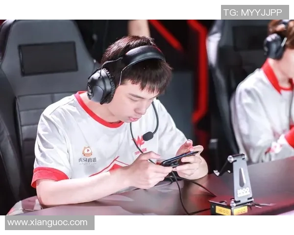 聚焦王者荣耀：探讨WE战队的默契配合与战略布局