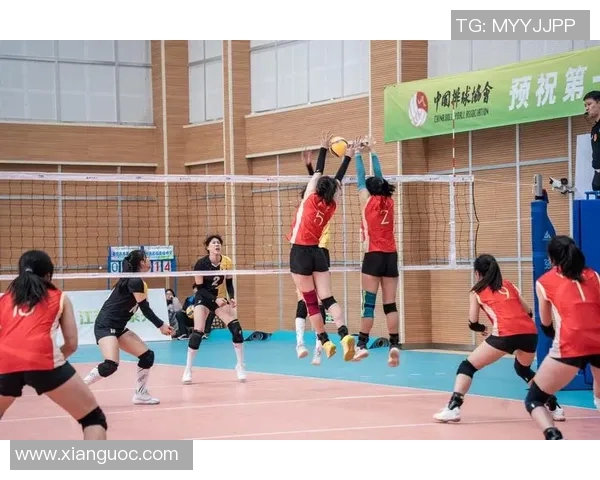 重庆排球队的训练与比赛状态全景揭秘排球巨献背后的故事与挑战