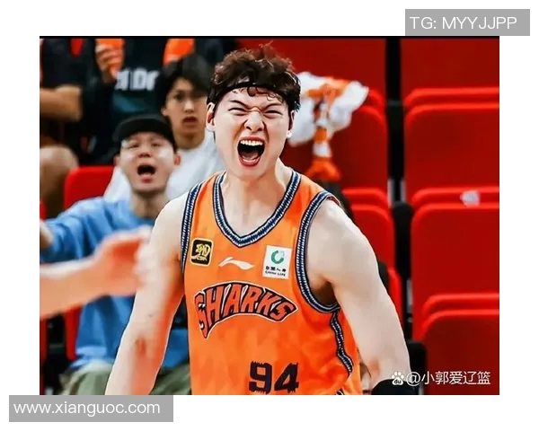 今晚辽篮对阵青岛精彩直播全程回顾与赛后分析不容错过
