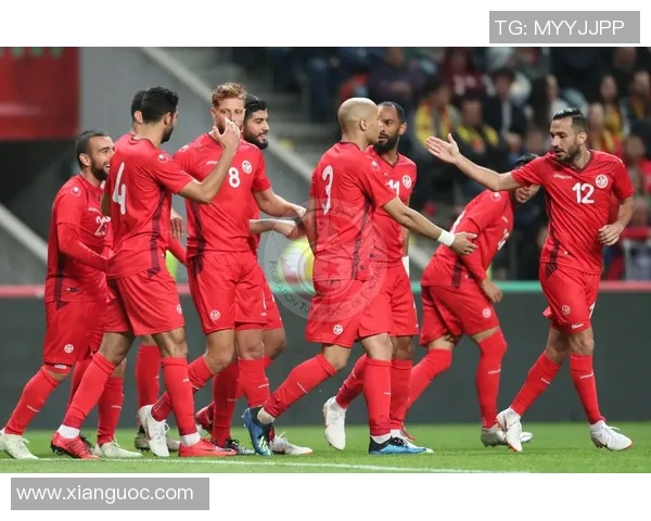 非洲队与国际队阵容对比分析揭示各自优势与战术布局