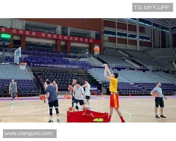 武汉篮球队技术对比深度解析与未来发展展望