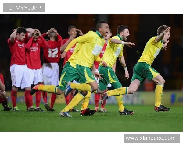 诺维奇对雷丁比赛前瞻分析及胜负预测详解
