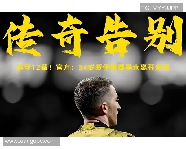 范戴克：从天才少年到足坛巨星的辉煌历程与传奇故事