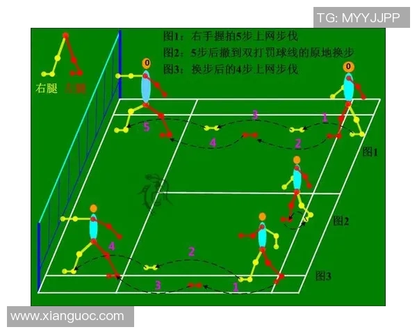 西安羽毛球队战术深度剖析与对手战术的全面对比分析