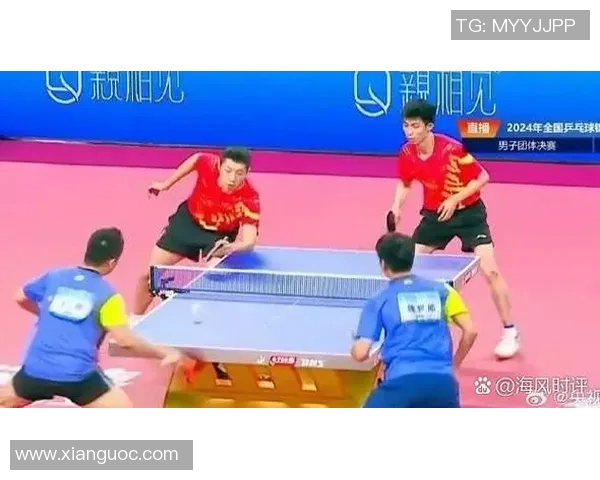 杭州乒乓球队团队协作新模式引发热议助力竞技水平提升