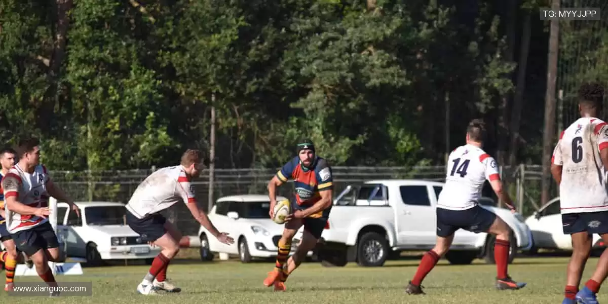 🎯 从装备到潮流,体育周边商城,做你的运动全能搭档!